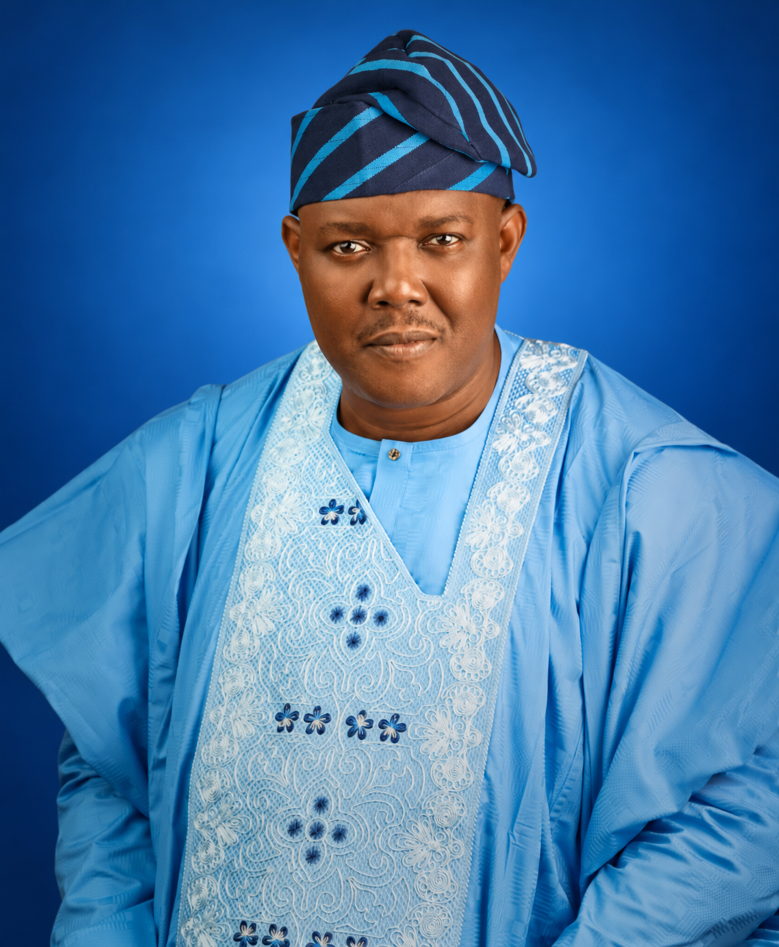 Portrait of Olabode Malik Oshodi